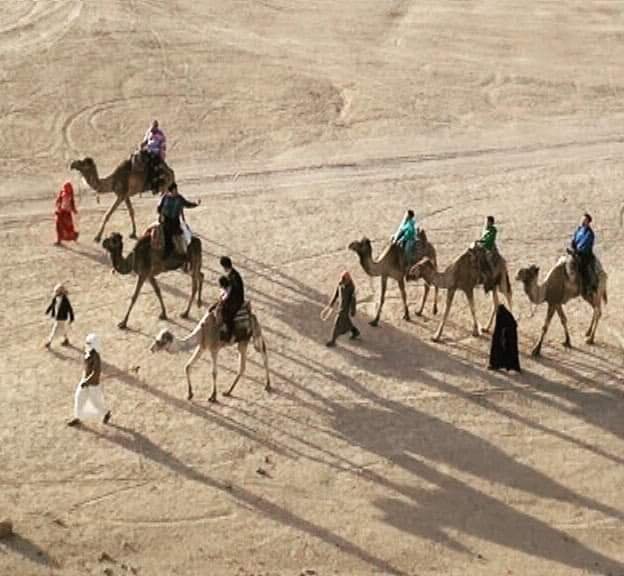 <span>Visit to a Bedouin Village and Camel ride</span>
