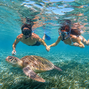 Private Snorkeling Hurghada boat trip with family at the Red Sea