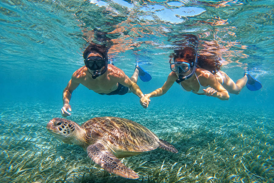 Private Snorkeling Hurghada boat trip with family at the Red Sea
