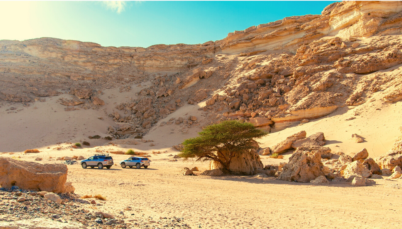 <span>Desert Exploration & Bedouin Village Experience</span>