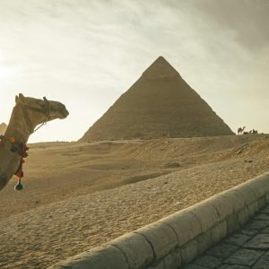 Tours in Egypt